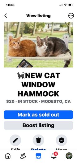 New cat window hammock
