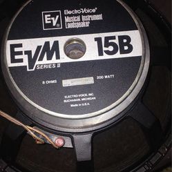 15'' Stage Speakers