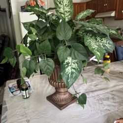 Fake Plant $5