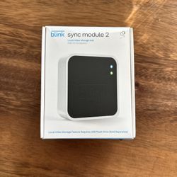 Blink Sync Module 2