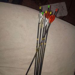 Xpert series
