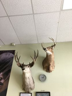 Selling for a friend