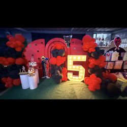 Miraculous Ladybug And Catnoir  Decor