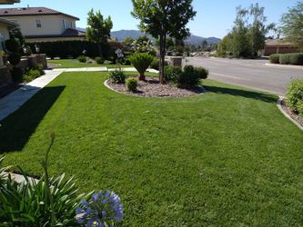 Green Cuts