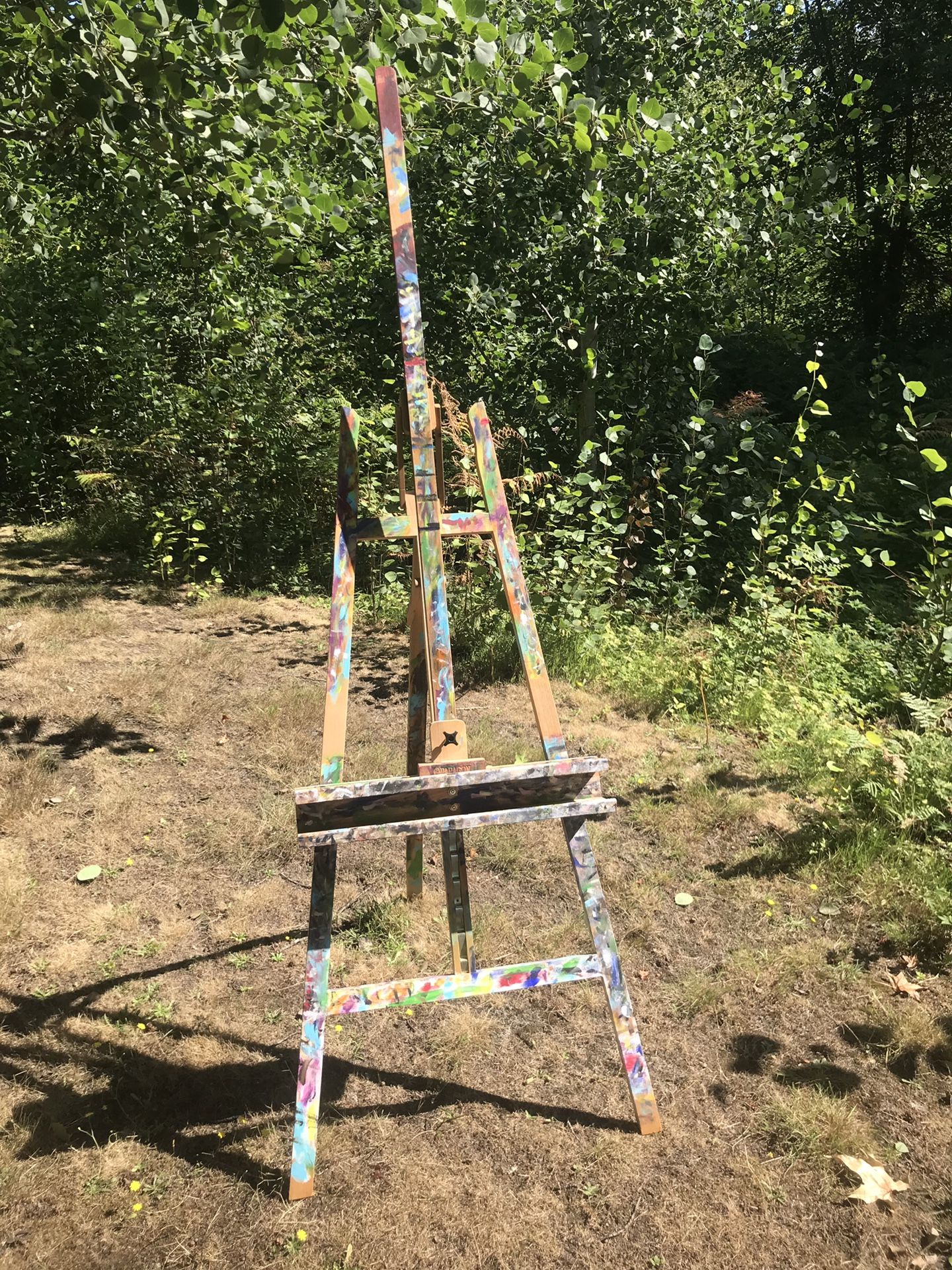 Artists Easel Paragon Professional