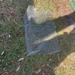 Pin Fish Traps