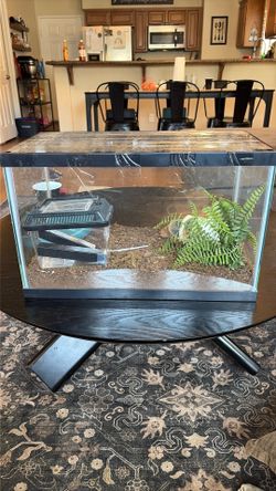 Reptile glass Cage