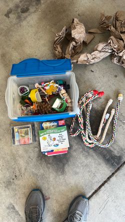 Bird toys