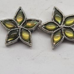 PEARLIZED RARE ABALONE STAR