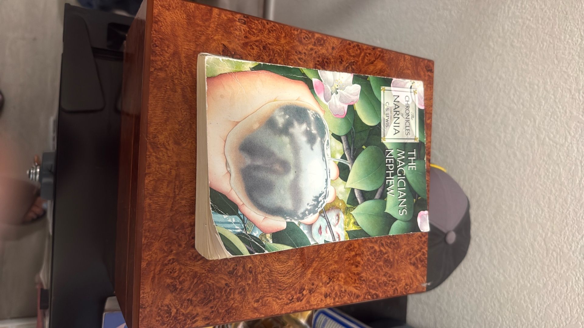 Book The Magician Nephew 