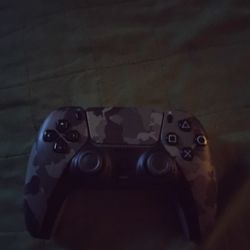 Ps5 Camo Controller 