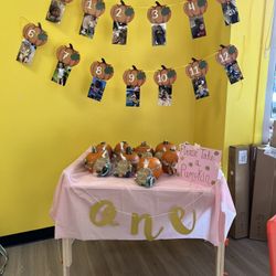 Pumpkin Party Decorations 