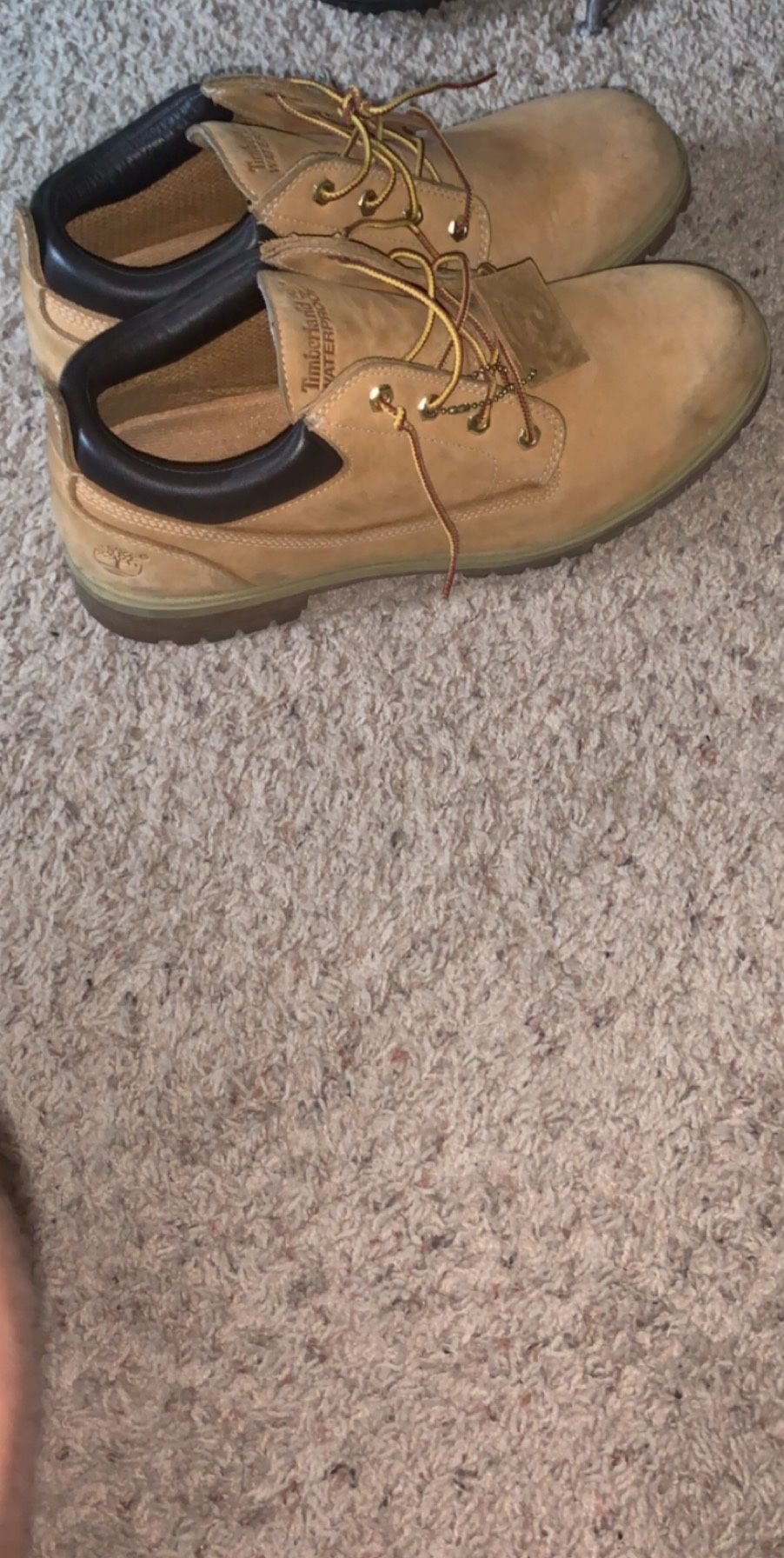 Size 13 Low timberlands in good condition I will deep clean them if your interested