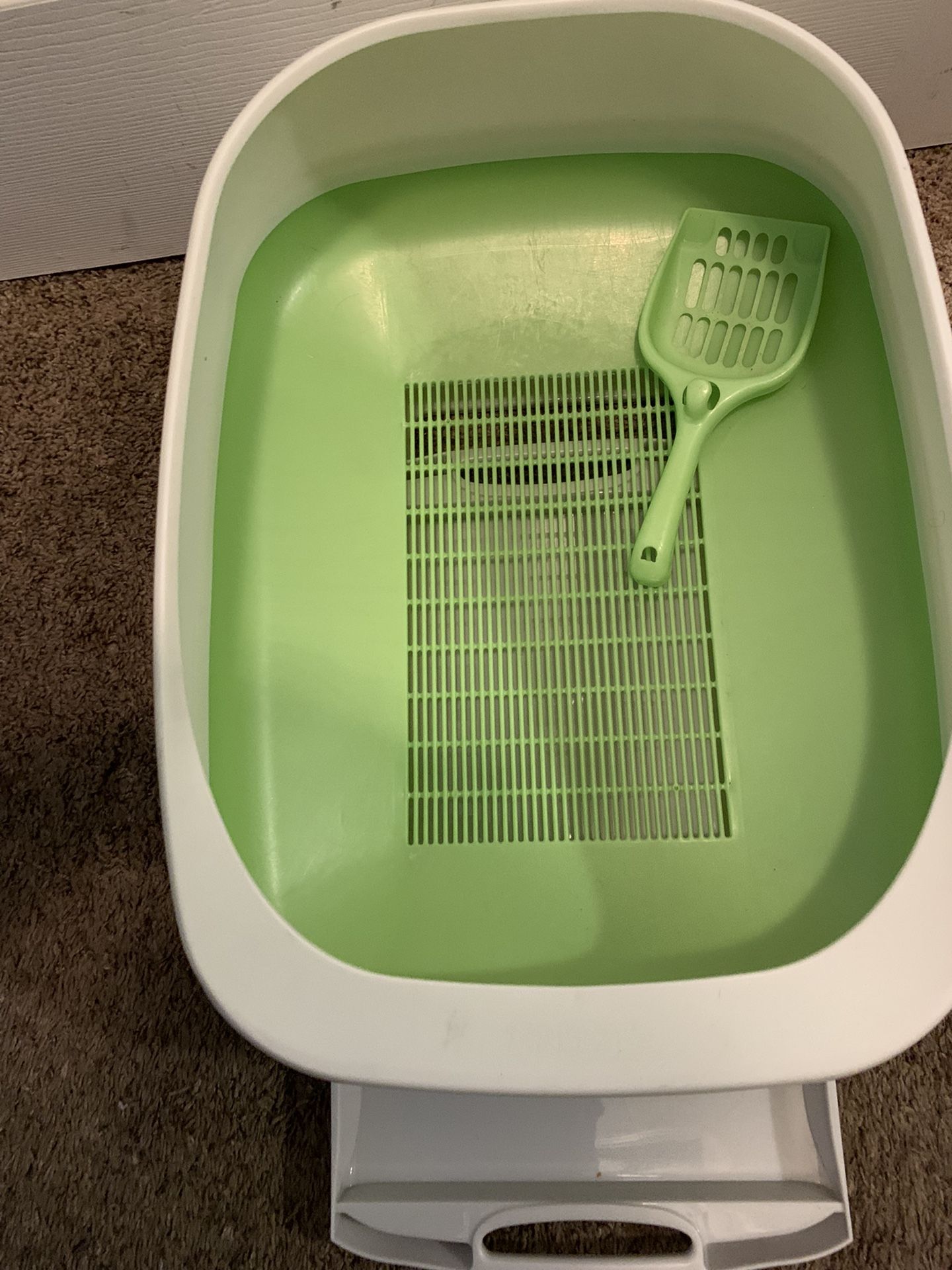 Cat Litter