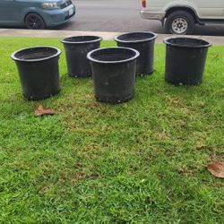 12 Gallon Plant Pots $5.00 Each. 