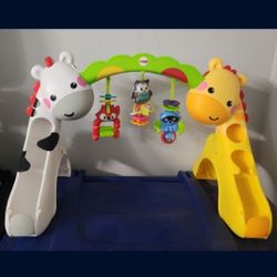 Fisher Price Activity 