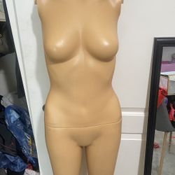 Maniquis 