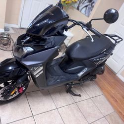 2024 fly wing motor 150
