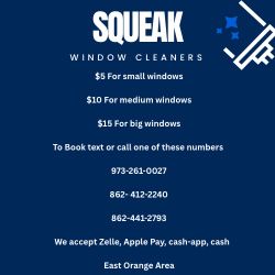 Window Cleaning Services 