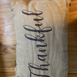 Decorative Throw Pillow