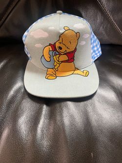 Disney parks hat