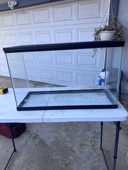 29 Gallon Fish Tank