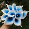 Blue Lily