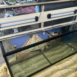 Fish Tank 