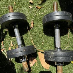 Dumbbell Set and Bench