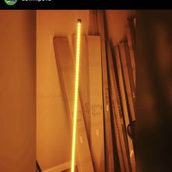 Led Light Whips