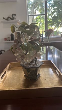 Asian Jade Tree