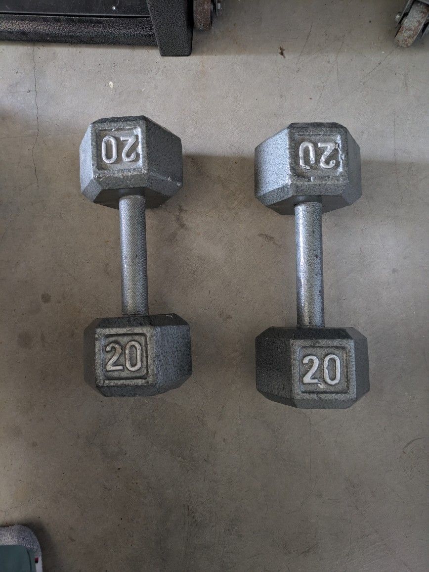 Two 20 Pound Dumbbells