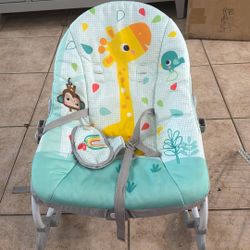 Baby Bouncer