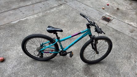 Rocky Mountain Mountain Bike