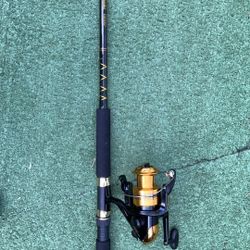 Fishing Rod & Reel 