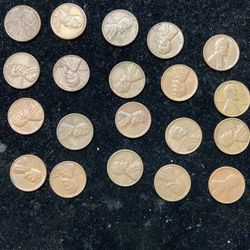20 Wheat Pennies