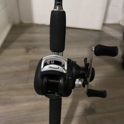 Fishing pole