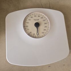 TAYLOR Bathroom Scale 