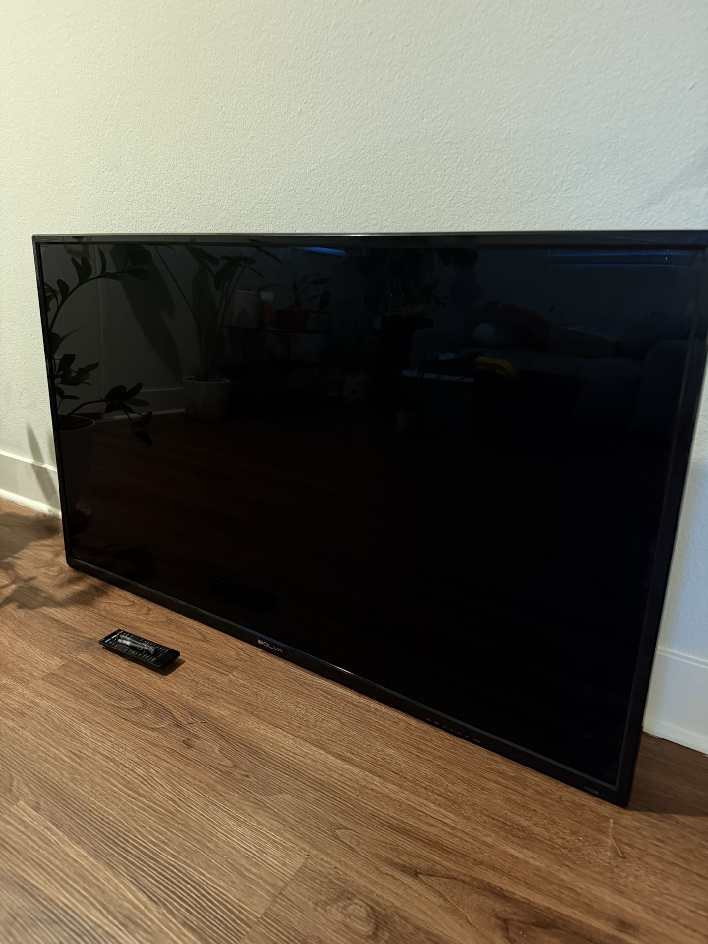 65 in TV with mount