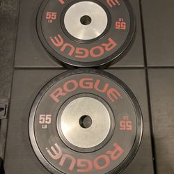 Rogue Fitness LB Training 2.0 Plates - Retails For $385