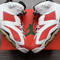 Jordan 6 Gatorade