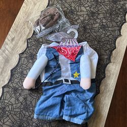 Pet Costume 