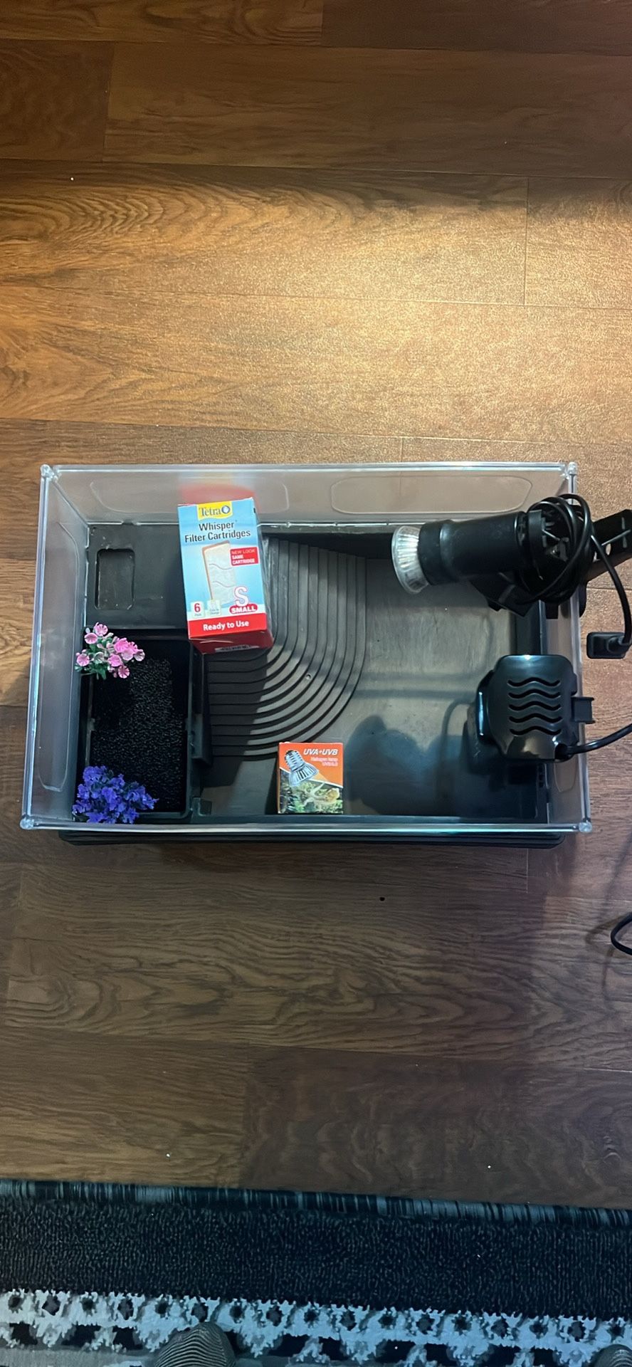 Aquatic hatchling turtle tank