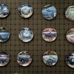 Underwater Paradise Collector Plates Set Of 12