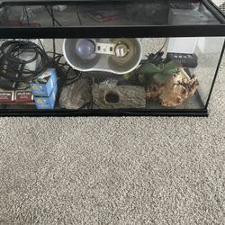 Tank And Lizard Enclosure Items!