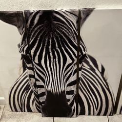 Zebra Painting