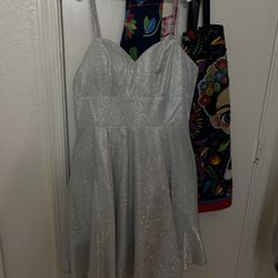 Silver dama dress