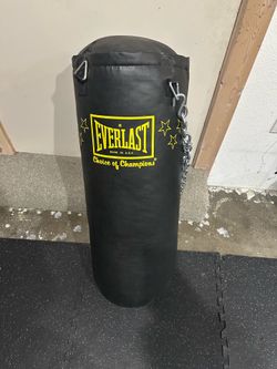 Everlast Punching Bag