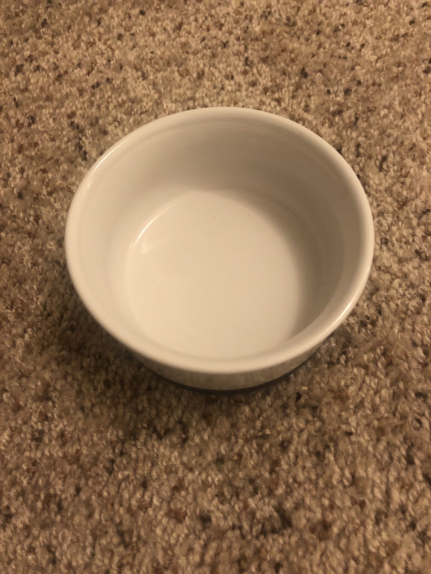 Petco Stoneware Food Bowl for Dogs/Cats/Pets (1 cup)