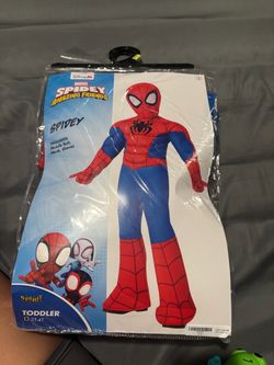 Spidey Costume
